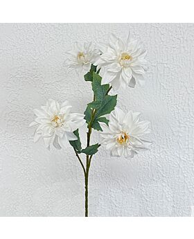 4 Head Dahlia Fwr