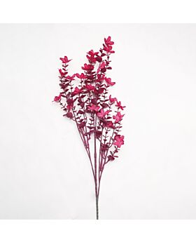 Bunga gantung Fuchsia Jasmine Fwr