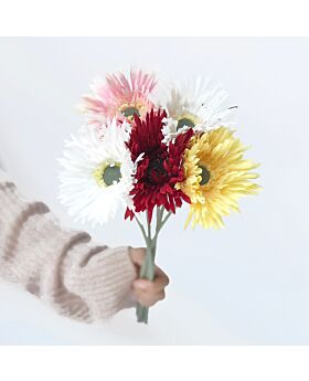 Gerbera Himaliya Flower Fwr