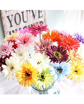 Colourful Gerbera Flower Fwr